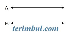 Paralel Doğrular