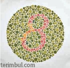 Kırmızı-Yeşil Renk Körlüğü