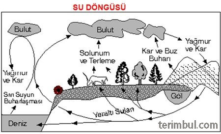 Su Döngüsü (Hidrolojik Dolaşım)